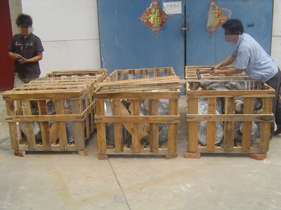 �½���ʯ�͔���C�l؛